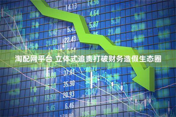 淘配网平台 立体式追责打破财务造假生态圈