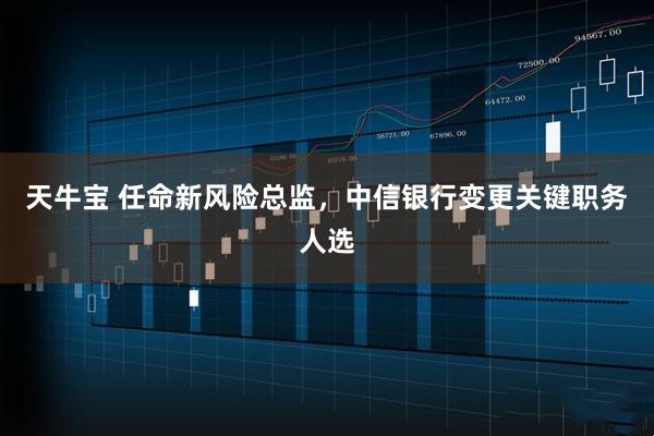 天牛宝 任命新风险总监，中信银行变更关键职务人选