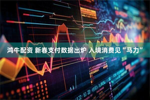 鸿牛配资 新春支付数据出炉 入境消费见“马力”